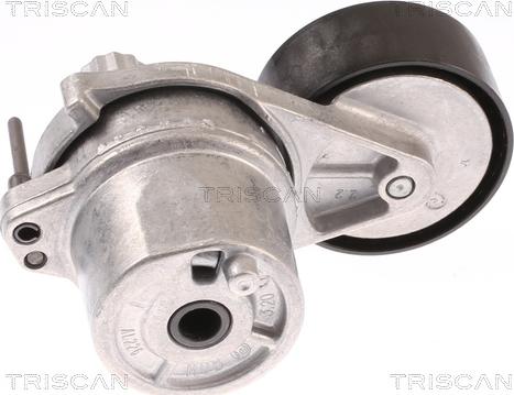 Triscan 8641 233029 - Натяжитель, поликлиновый ремень autospares.lv