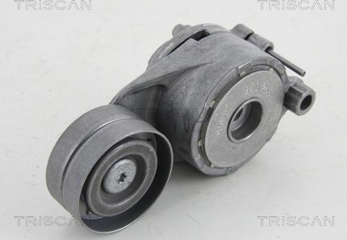 Triscan 8641 233026 - Натяжитель, поликлиновый ремень autospares.lv