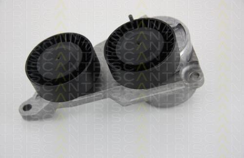 Triscan 8641 273004 - Натяжитель, поликлиновый ремень autospares.lv