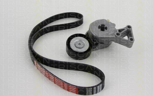 Triscan 8642 29003 - Поликлиновый ременный комплект autospares.lv