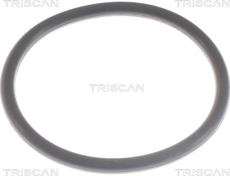 Triscan 8620 9491 - Термостат охлаждающей жидкости / корпус autospares.lv