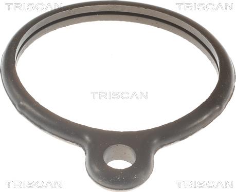 Triscan 8620 10088 - Термостат охлаждающей жидкости / корпус autospares.lv