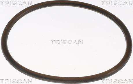 Triscan 8620 8888 - Термостат охлаждающей жидкости / корпус autospares.lv