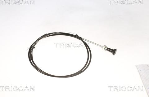 Triscan 8140 91002 - Вал воздушного клапана, карбюратор autospares.lv