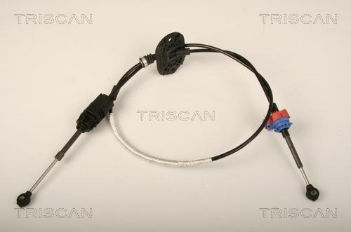 Triscan 8140 16704 - Трос, автоматическая коробка передач autospares.lv