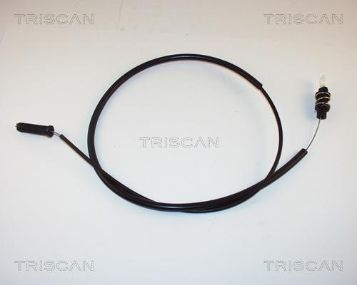 Triscan 8140 38317 - Тросик газа autospares.lv