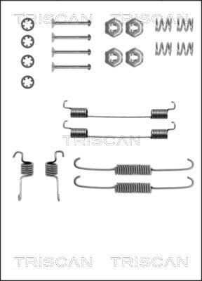 Triscan 8105 162542 - Комплектующие, барабанный тормозной механизм autospares.lv