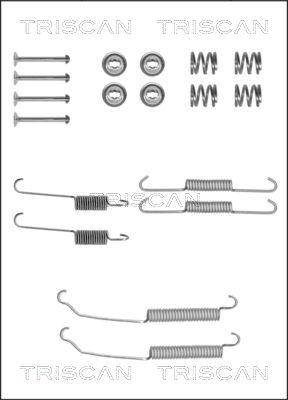 Triscan 8105 102564 - Комплектующие, барабанный тормозной механизм autospares.lv