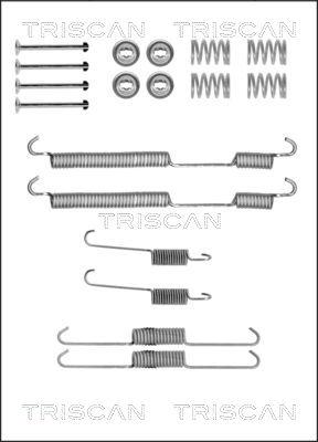 Triscan 8105 102580 - Комплектующие, барабанный тормозной механизм autospares.lv