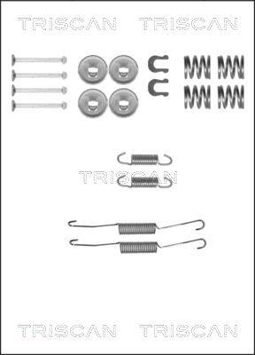 Triscan 8105 132587 - Комплектующие, барабанный тормозной механизм autospares.lv