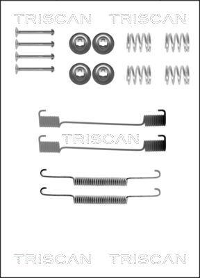 Triscan 8105 172465 - Комплектующие, барабанный тормозной механизм autospares.lv