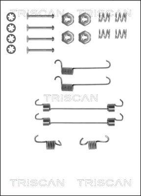 Triscan 8105 382518 - Комплектующие, барабанный тормозной механизм autospares.lv