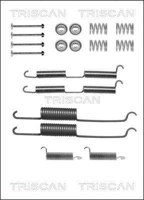 Triscan 8105 252569 - Комплектующие, барабанный тормозной механизм autospares.lv