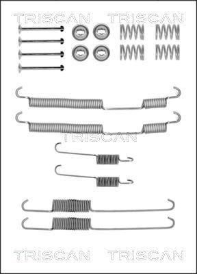 Triscan 8105 252570 - Комплектующие, барабанный тормозной механизм autospares.lv