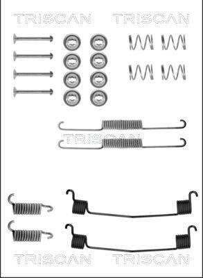 Triscan 8105 272261 - Комплектующие, барабанный тормозной механизм autospares.lv