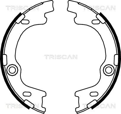 Triscan 8100 43021 - Комплект тормозных колодок, барабанные autospares.lv