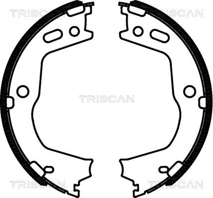 Triscan 8100 43028 - Комплект тормозов, ручник, парковка autospares.lv