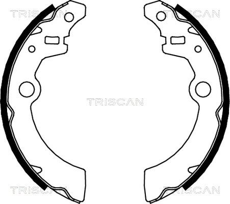 Triscan 8100 69001 - Комплект тормозных колодок, барабанные autospares.lv