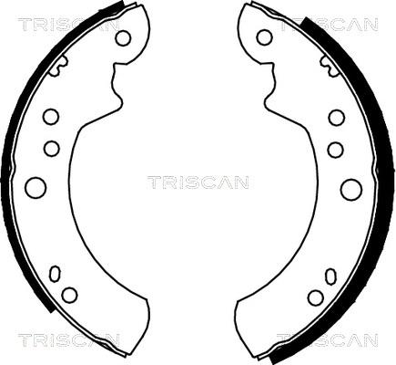 Triscan 8100 16446 - Комплект тормозных колодок, барабанные autospares.lv