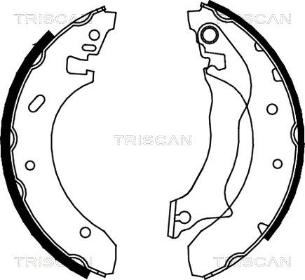 Triscan 8100 16559 - Комплект тормозных колодок, барабанные autospares.lv