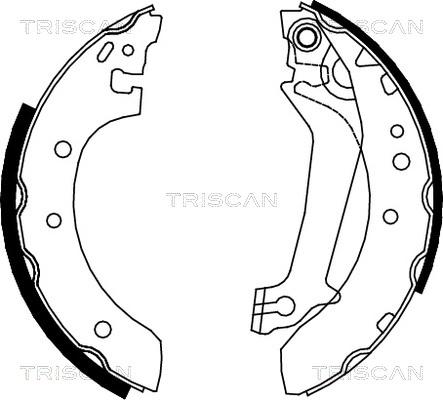 Triscan 8100 16587 - Комплект тормозных колодок, барабанные autospares.lv