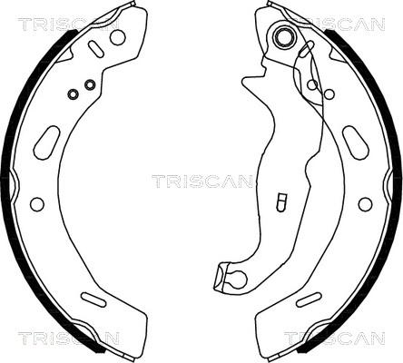 Triscan 8100 16013 - Комплект тормозных колодок, барабанные autospares.lv