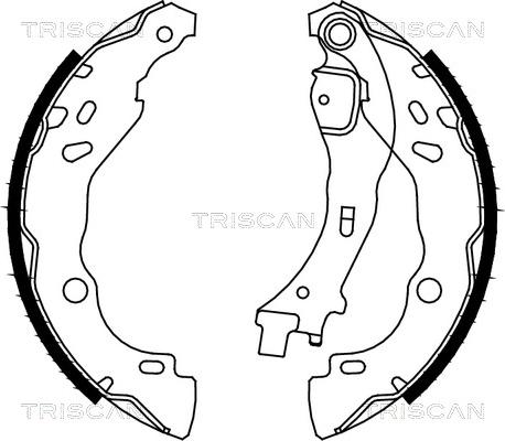 Triscan 8100 10009 - Комплект тормозных колодок, барабанные autospares.lv