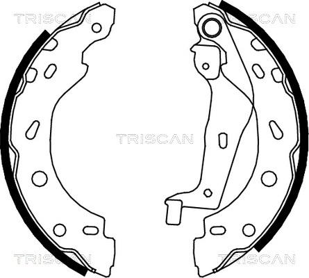 Triscan 8100 10005 - Комплект тормозных колодок, барабанные autospares.lv