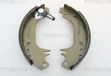 Triscan 8100 10006 - Комплект тормозных колодок, барабанные autospares.lv