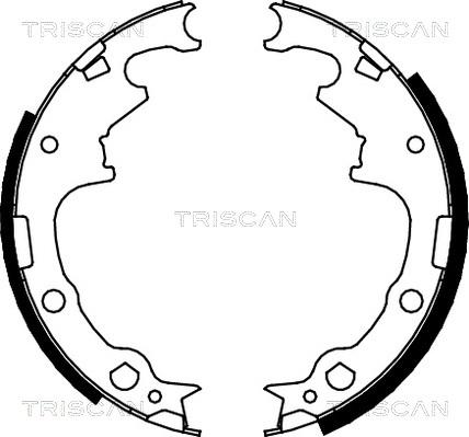 Triscan 8100 10001 - Комплект тормозных колодок, барабанные autospares.lv