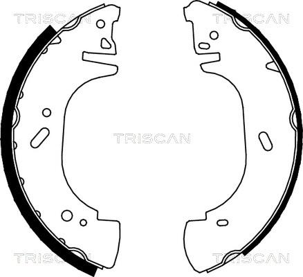 Triscan 8100 10002 - Комплект тормозных колодок, барабанные autospares.lv