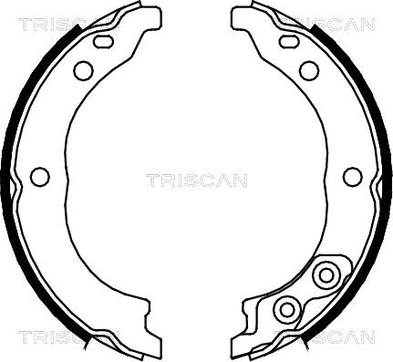 Triscan 8100 10010 - Комплект тормозов, ручник, парковка autospares.lv