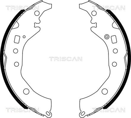 Triscan 8100 10039 - Комплект тормозных колодок, барабанные autospares.lv