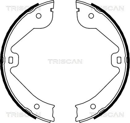 Triscan 8100 10022 - Комплект тормозных колодок, барабанные autospares.lv