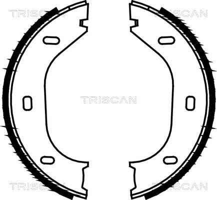 Triscan 8100 10290 - Комплект тормозов, ручник, парковка autospares.lv