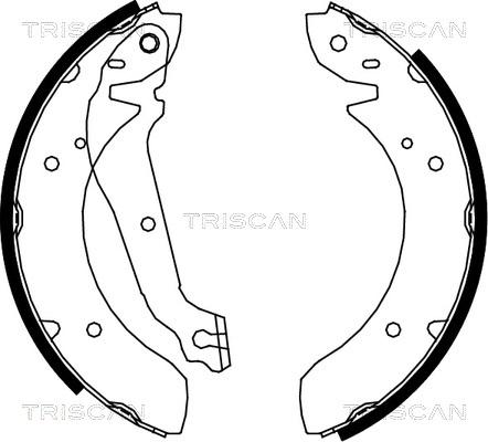 Triscan 8100 18013 - Комплект тормозных колодок, барабанные autospares.lv