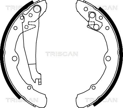 Triscan 8100 29343 - Комплект тормозных колодок, барабанные autospares.lv