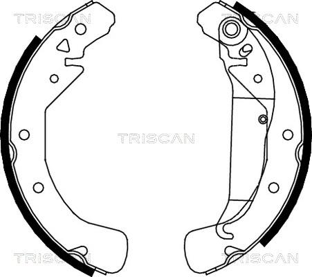 Triscan 8100 24589 - Комплект тормозных колодок, барабанные autospares.lv