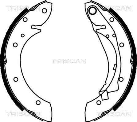 Triscan 8100 28598 - Комплект тормозных колодок, барабанные autospares.lv