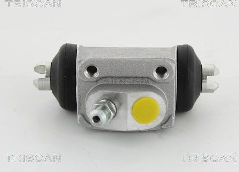 Triscan 8130 43030 - Колесный тормозной цилиндр autospares.lv