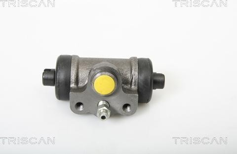 Triscan 8130 42019 - Колесный тормозной цилиндр autospares.lv