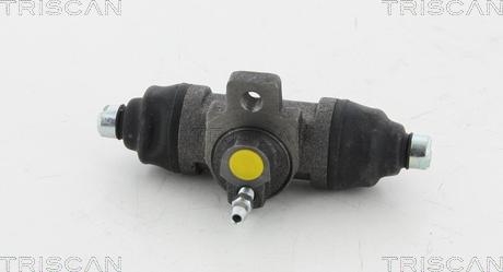 Triscan 8130 29025 - Колесный тормозной цилиндр autospares.lv