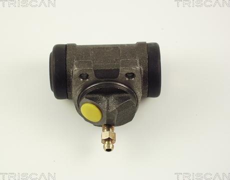 Triscan 8130 25012 - Колесный тормозной цилиндр autospares.lv