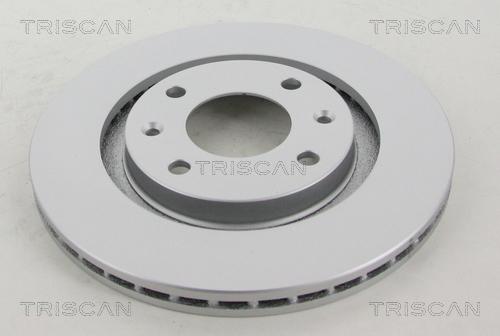 Triscan 8120 10113C - Тормозной диск autospares.lv