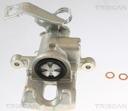 Triscan 8175 40209 - Тормозной суппорт autospares.lv