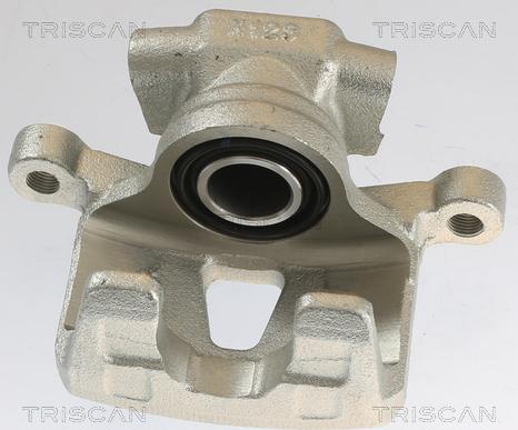 Triscan 8175 10213 - Тормозной суппорт autospares.lv