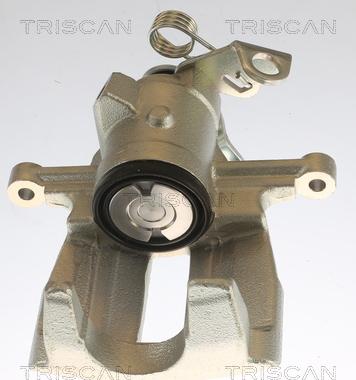 Triscan 8175 29220 - Тормозной суппорт autospares.lv