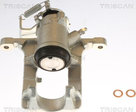 Triscan 8175 24209 - Тормозной суппорт autospares.lv