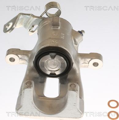 Triscan 8175 24201 - Тормозной суппорт autospares.lv