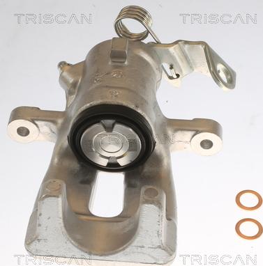 Triscan 8175 24202 - Тормозной суппорт autospares.lv